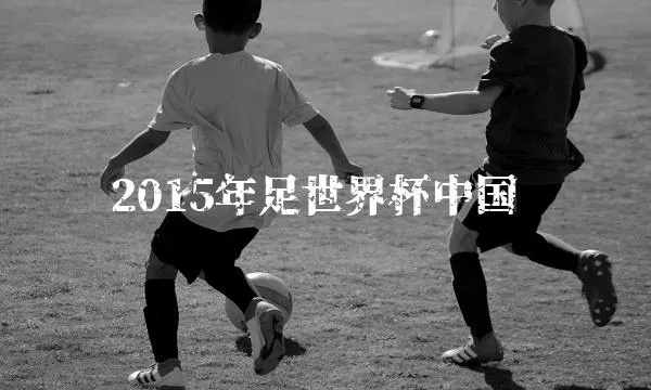 中国足球519世界杯 中国 足球 世界杯