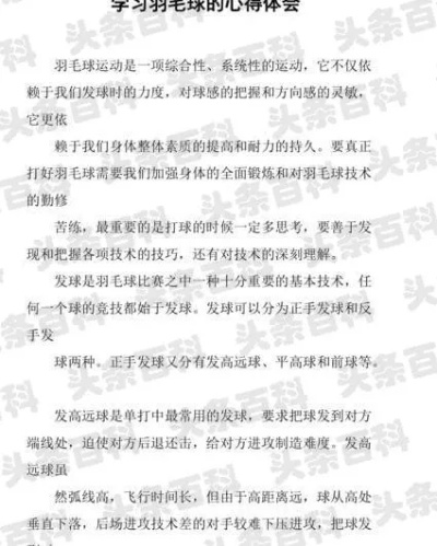 关于羽毛球的诗歌赏析