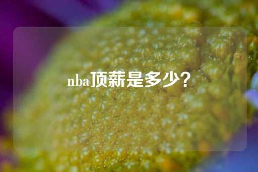 nba顶薪是多少？